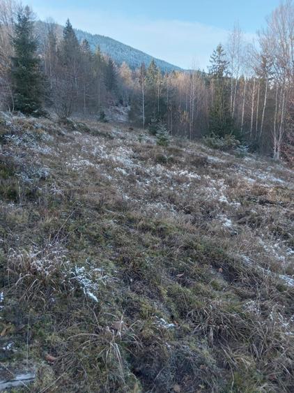 Teren de vanzare - 6