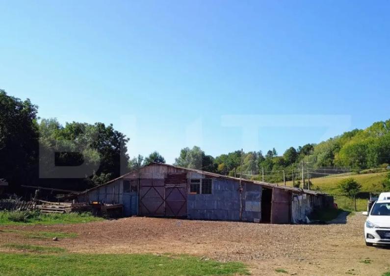 Stana 17.000 mp, Boldesti-Scaeni. - 3