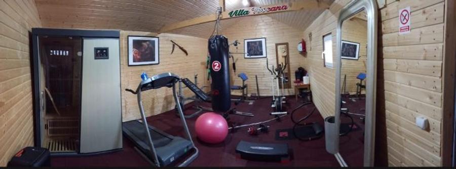 Vila cu piscină și Pensiune turistica  - 10