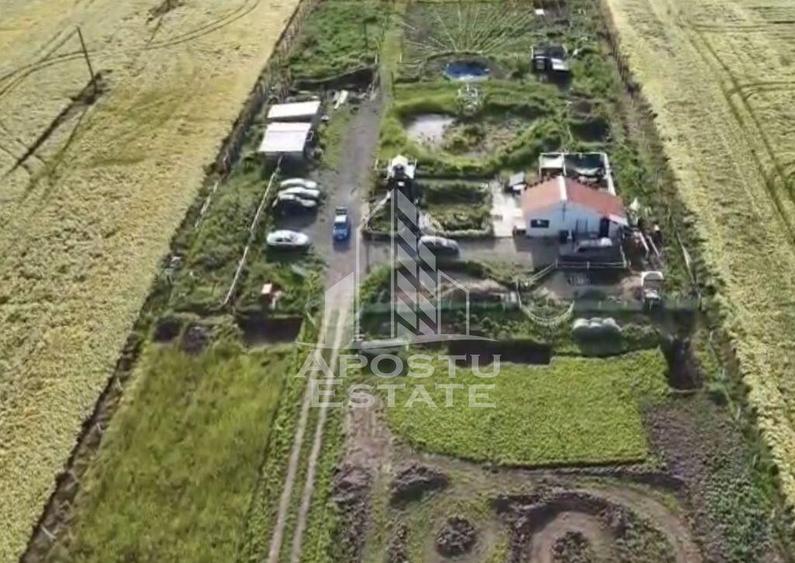 Farmhouse la 14km de Timisoara, teren agricol 1ha - 2