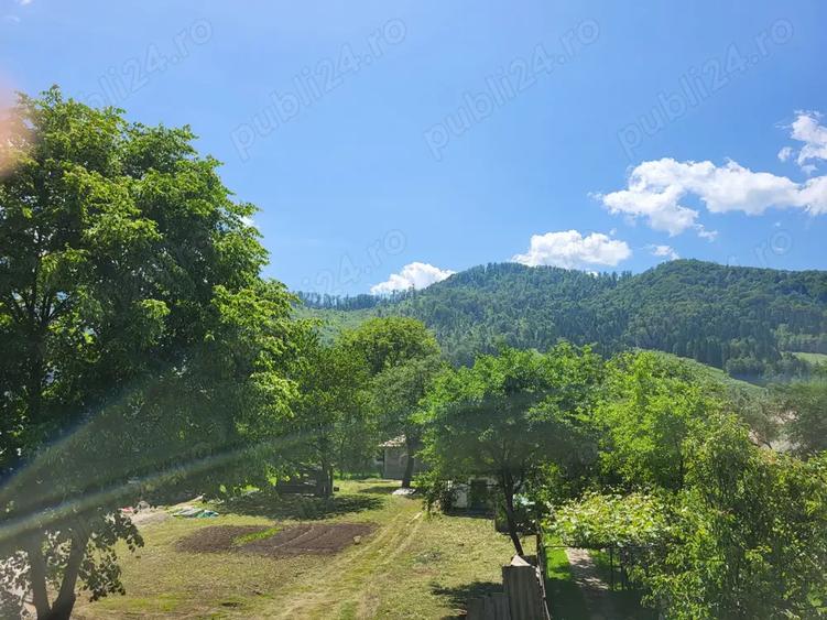 Teren si casa Sat Tarcau zona Garii - 5