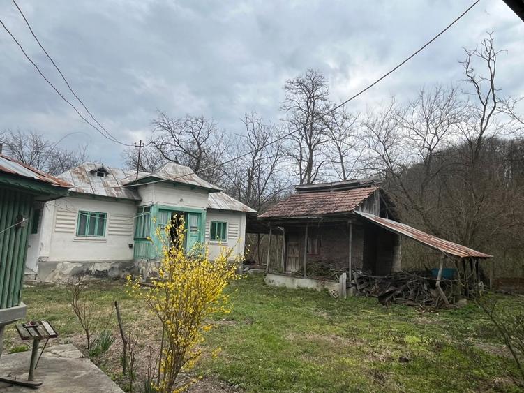 Gospodărie 2 case cu teren 5000m - 4