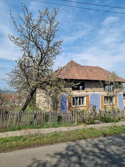 Casa cu teren 44 arii - 3