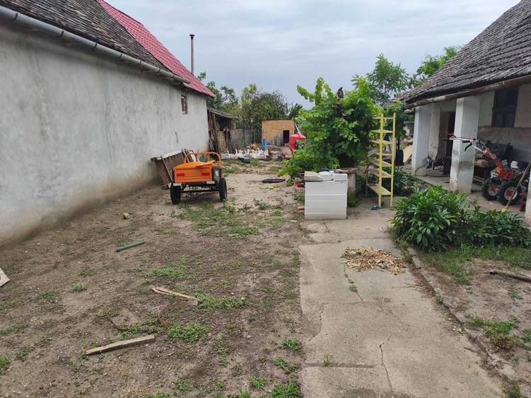Casa de vanzare Peregu Mic, Jud Arad - 8
