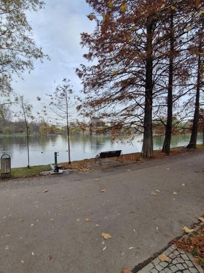 Apartament cu 2 camere la 12 minute de metrourile Dristor 1 si Grigorescu - 31