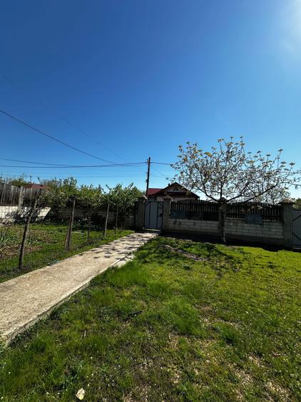 Casa spatioasa de vanzare - 7