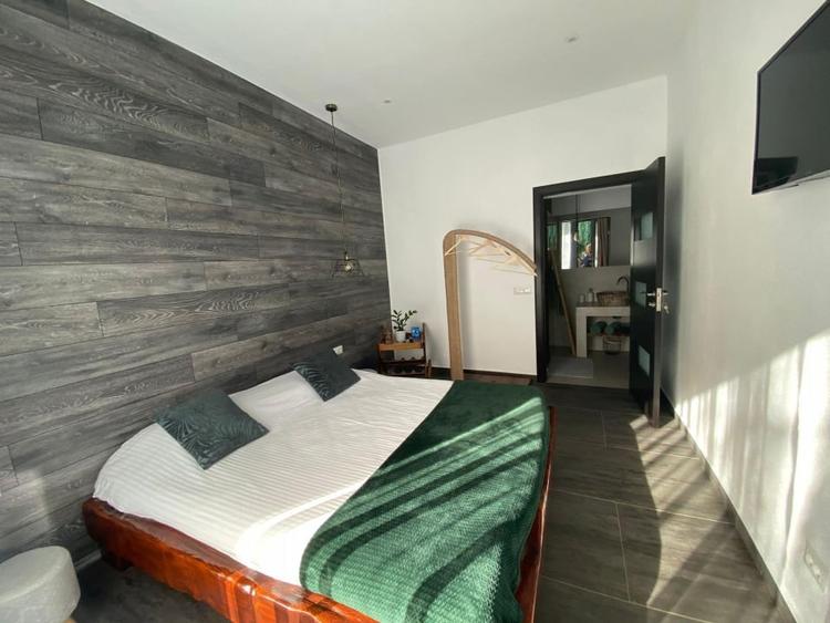 Casa Lux Mediteraniana cu 1620 mp. teren mobilata utilata CETATE cazare pensiune - 4