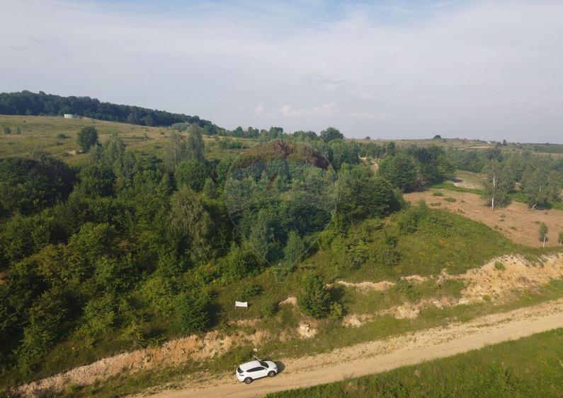 Teren de vanzare in Salicea, 10000 MP , Zona Moara de vant! - 6