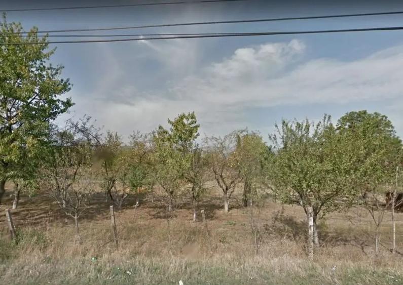 Teren extravilan, Sebes, Jud. Alba -id 9910 - 3