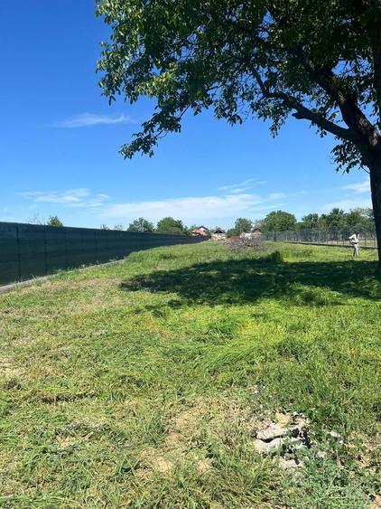 Vand teren in Biharia 3500 mp, str Szent Peter nr 45 - 3