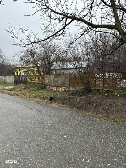 Teren intravilan Sat Catunu, comuna Cornesti, Dambovita, acces sosDN1A - 5