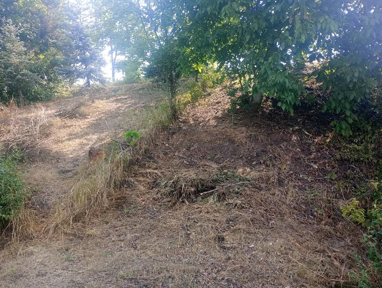 Teren superb  1100mp lac Găneasa - 3