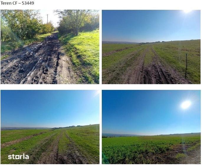 Teren de 7088 mp, în Havârna