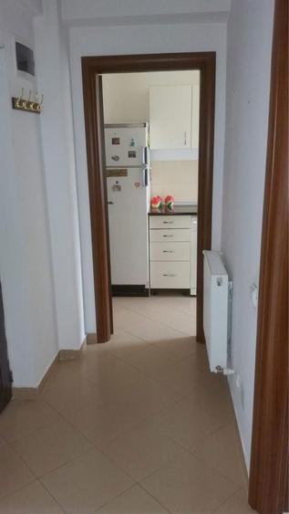 Garsoniera Damaroaia cu Jiului - 3
