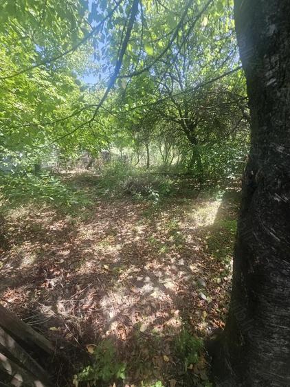 Teren de 1113 mp si casa batraneasca in comuna Mihaesti jude?ul Valcea - 6