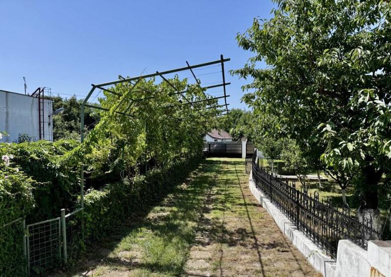 Vila Manastirea Snagov - 6