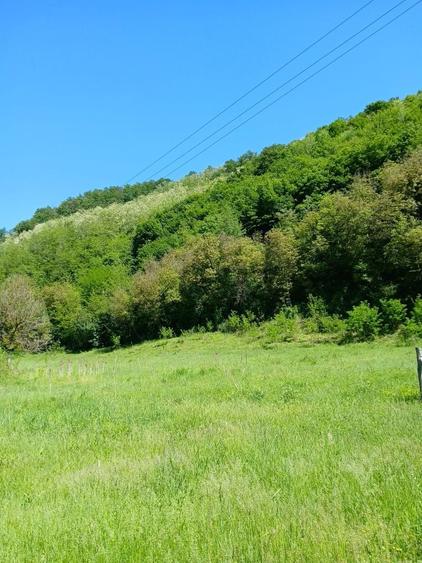 Vand teren in satul Carmazinesti, comuna Gurasada ,judetul Hunedoara - 2