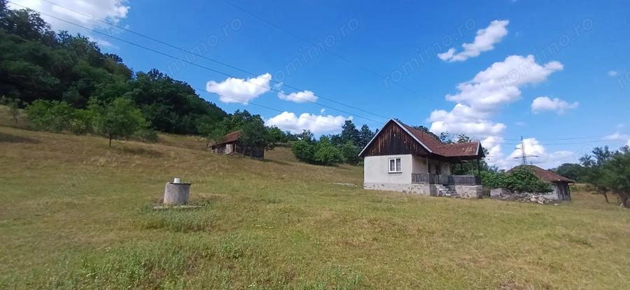 Vand Proprietate (casa, ?ura ?i teren) in Valea Bradului, Mun. Brad, Jud. Hunedoara - 1