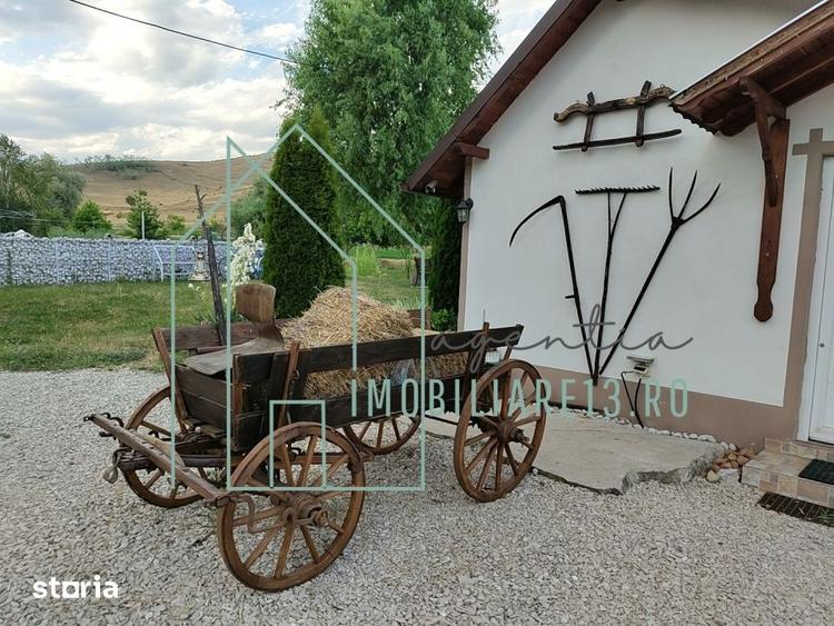 Domeniu, Afacere de vanzare, Sebes, Alba, balta pescuit, ferma lavanda - 3