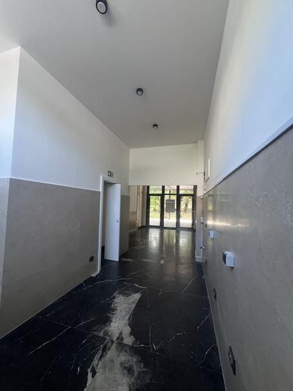 Spațiu comercial, de 51 mp, în Horea