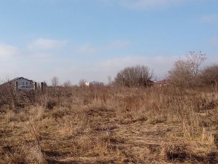 Teren Construcții intravilan de 2200 mp, în Cernica