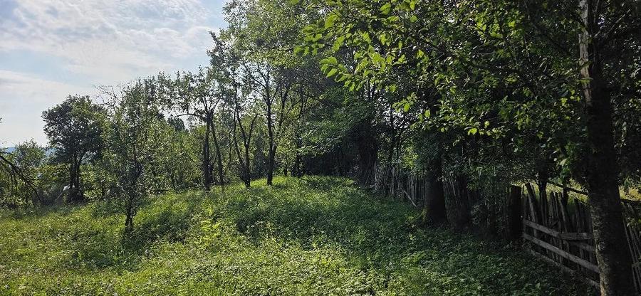 Teren de 2000 mp, în Talea