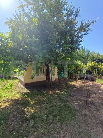 Casă de vânzare cu anexe, 174 mp, 22 ari teren, Grigoresti - 13