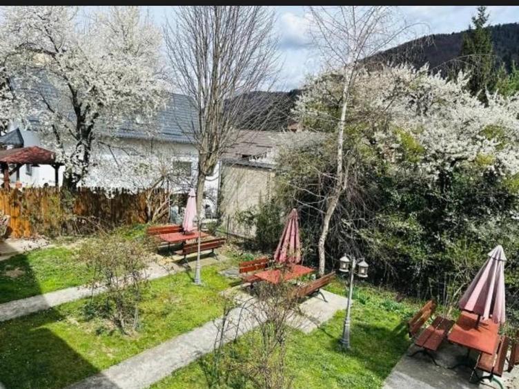 Casă cu Teren 750 Mp în Central