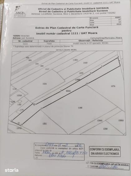 Teren de 3900 mp, în Moara
