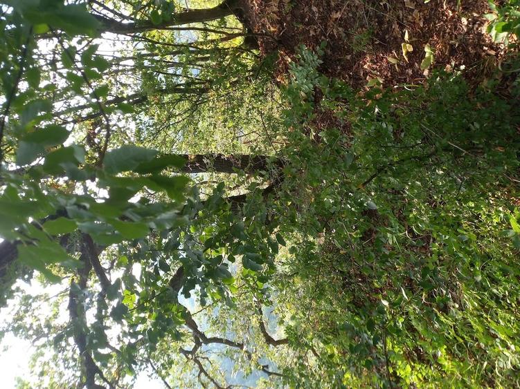 Teren de 27000 mp, în Mănăstirea