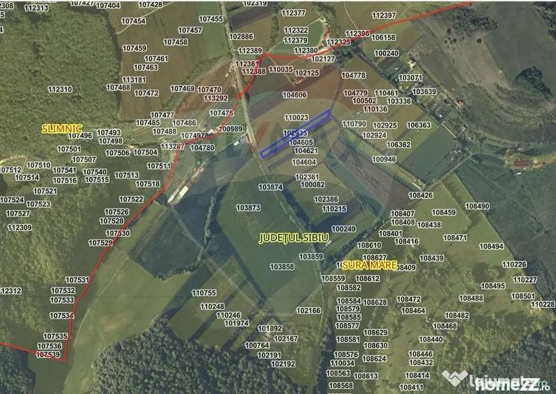 Pozi?ie excelenta pentru desfacere produse agricole sau investi?ie - Sura Mare (Sibiu) - 3