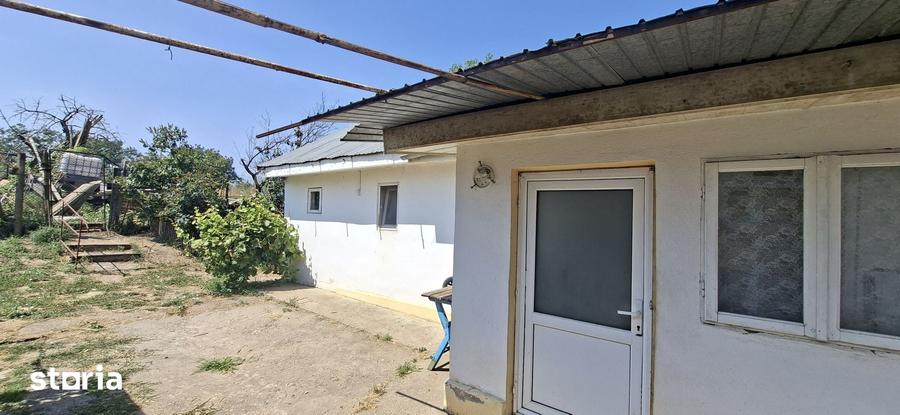 Casă cu 3 camere cu Teren 1905 Mp în Vânători