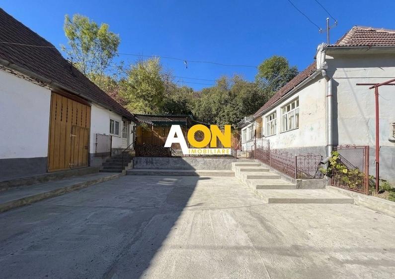 Casă individuală cu 3 camere cu Canalizare în Pianu de Sus
