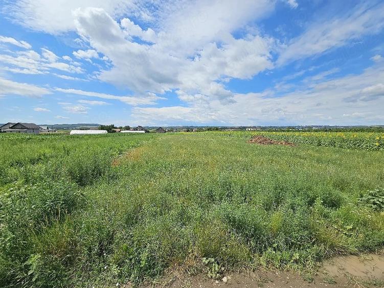 Teren de 4700 mp, în Prelipca