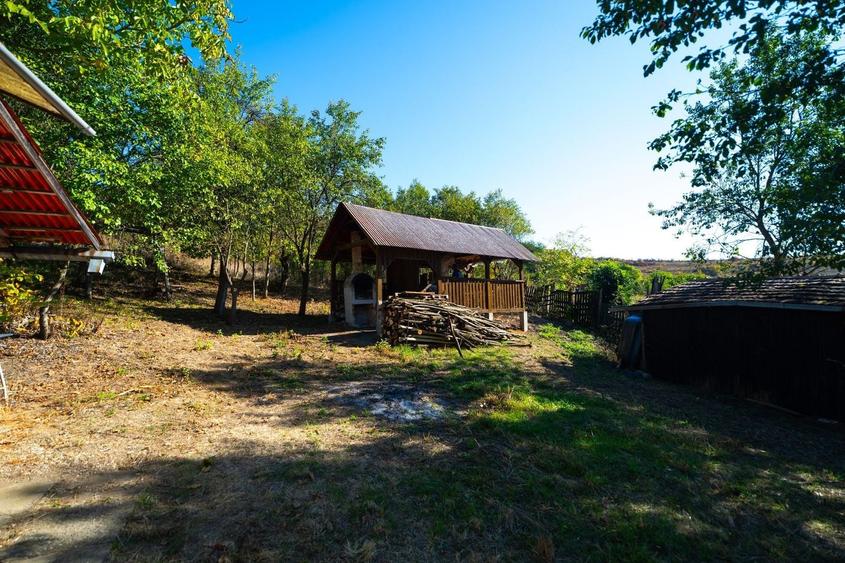 Teren Construcții intravilan de 11400 mp, în Corpadea
