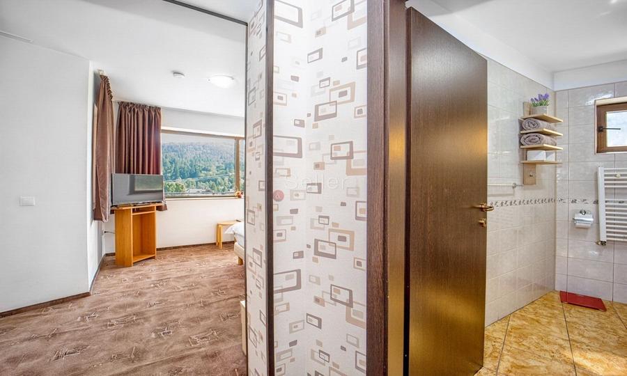 Pensiune Turistica Montana - 36