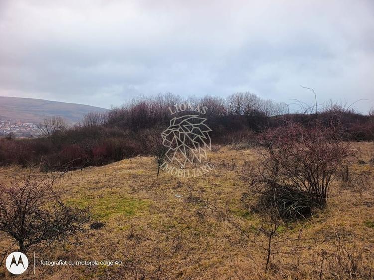 Teren 10000mp intravilan Chinteni 14 case aprobate  Investiție dezvoltator - 1