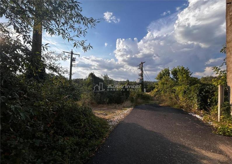 Bocsa Teren 9400 Mp Intravilan - 4