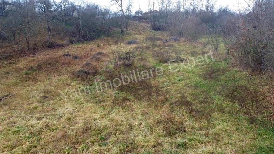 Teren de vanzare in comuna Valea Iasului, jude? Arge?. - 11