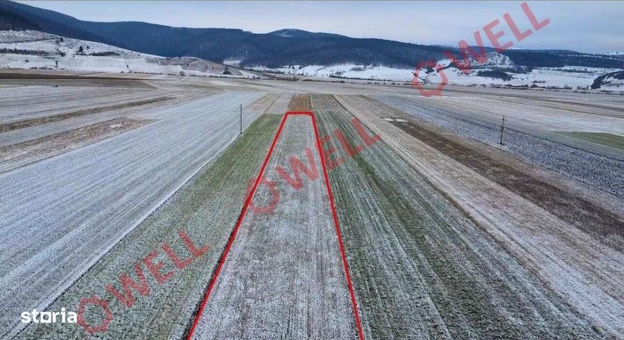 3 terenuri extravilane de vanzare in Zagon! - 1