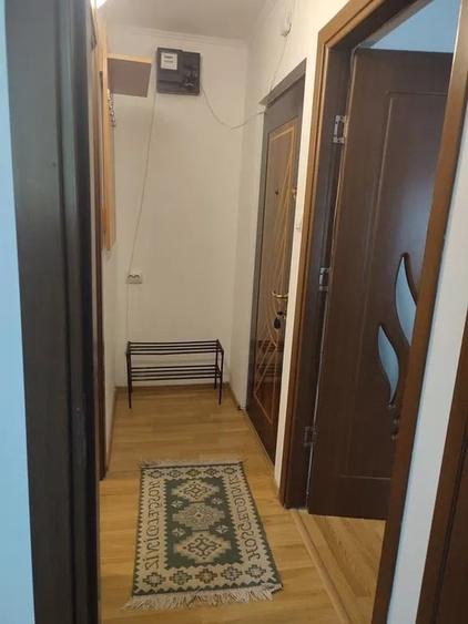 Apartament cu 1 camera, decomandat, zona Nicolina -Salciilor - 4