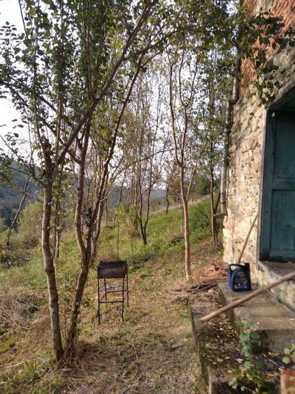 Vand casa la munte - 1