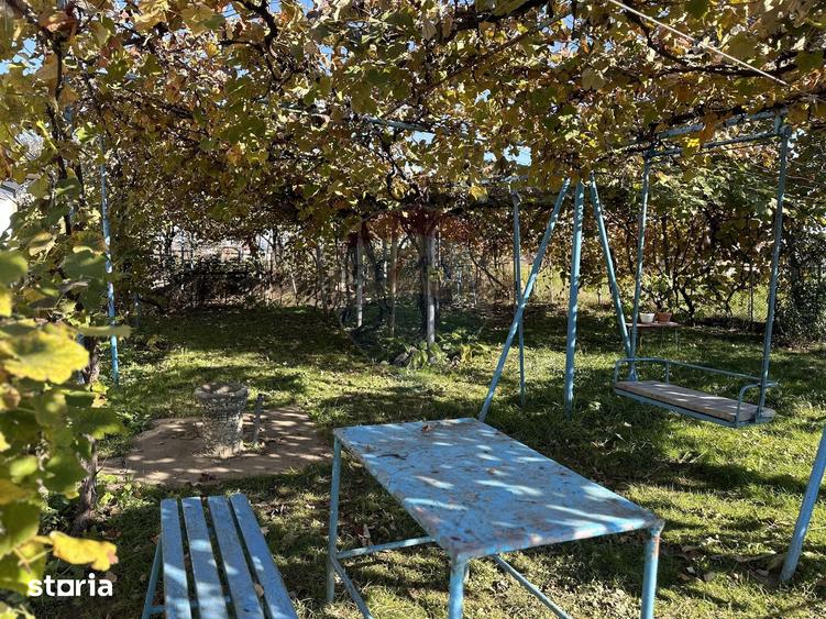 Casă cu 3 camere cu Teren 1045 Mp în Borlești