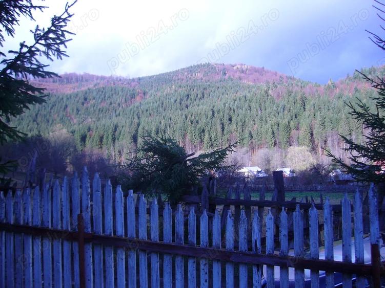 Lepsa Vrancea ,zona retrasa linistita si sigura,cabana si teren de vanzare - 4