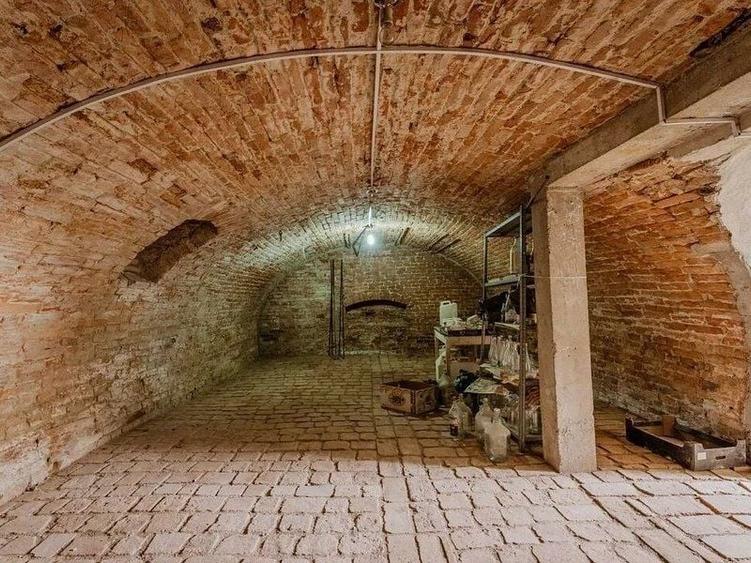 Oportunitate de investitie, o cladire D+P+M rustica in comuna Pischia - 8