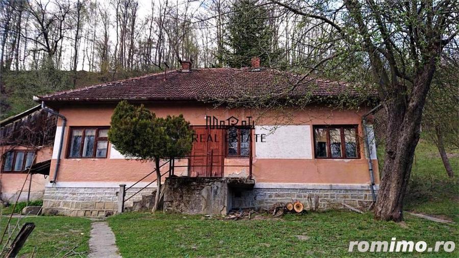 Domeniu de 7 ha in Apuseni - Criscior, Hunedoara - 1