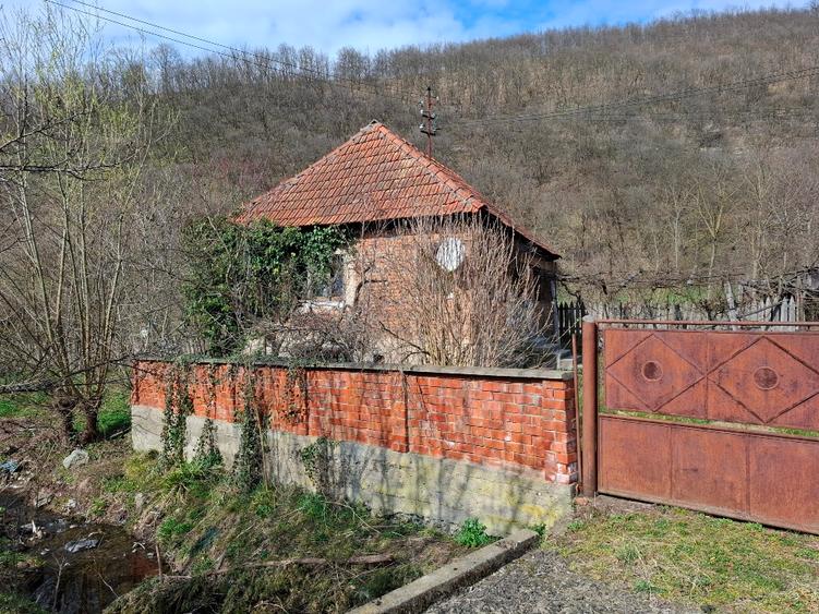 Vând casa Stancesti (Dobra) - 9