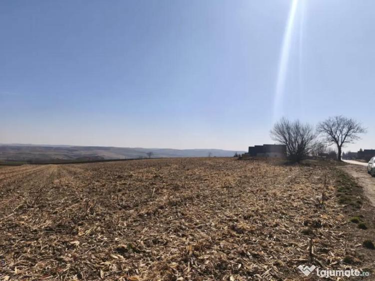 Teren 6500mp, 40ml deschidere la E85, Granicesti, Suceava - 1