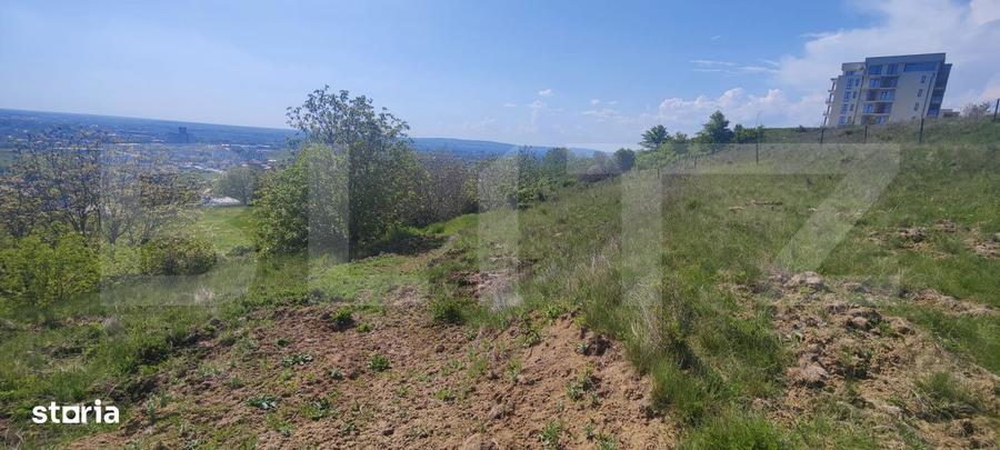 Teren Panoramic 15.500 mp Investitie sau Dezvoltare, Zona Aleea Ma - 13