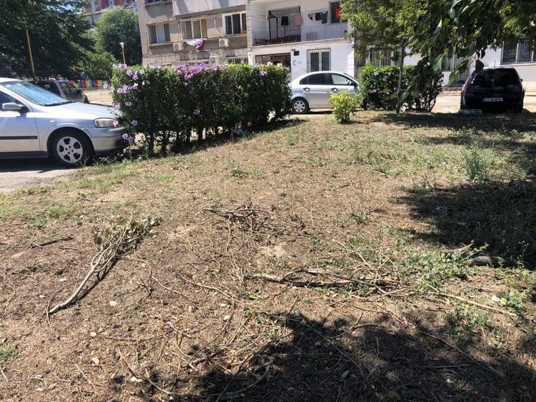 Vand teren 380 mp - 6